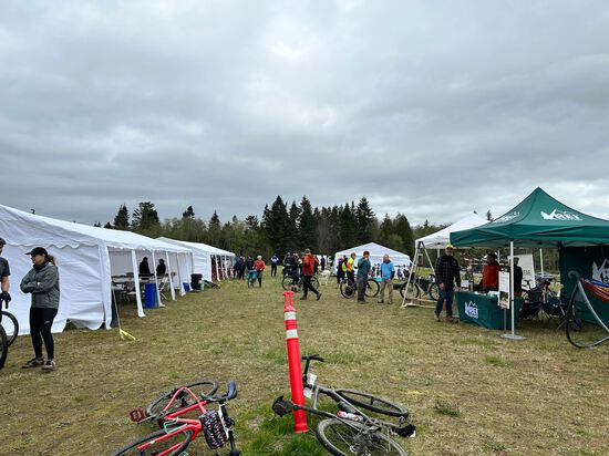 View All the Fun in new tab