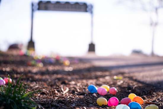 View Bunny Hop 5k (Facebook) in new tab