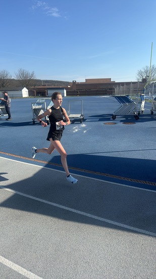 View Buttefly in new tab