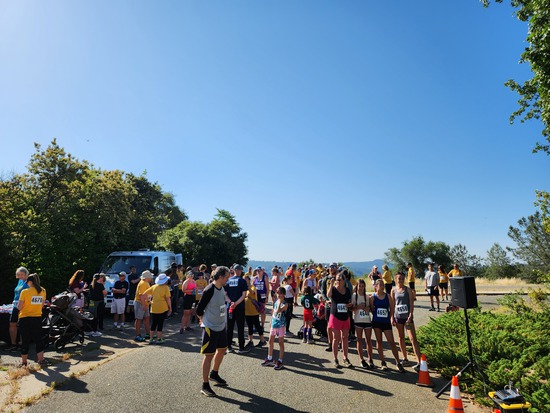 View Start Line in new tab