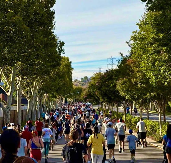 View Santa Clarita Independence Day Classic in new tab