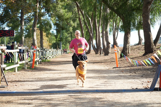 View Dogs in new tab