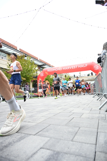 race_147339_335324_e9062070-3796-4453-bd77-34727f93acf0.jpg