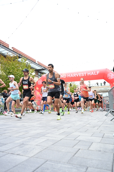 race_147339_335324_e913d258-fcb4-4590-bc06-d92d497606b3.jpg
