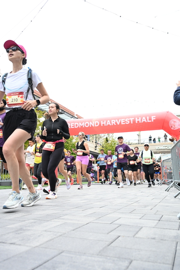 race_147339_335324_e91f1830-9f71-4221-a92c-62a38922093b.jpg
