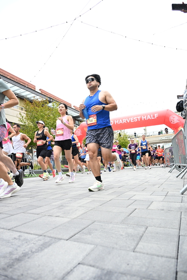 race_147339_335324_e94bc07b-6a92-41f2-8bf5-d5b31e37b800.jpg