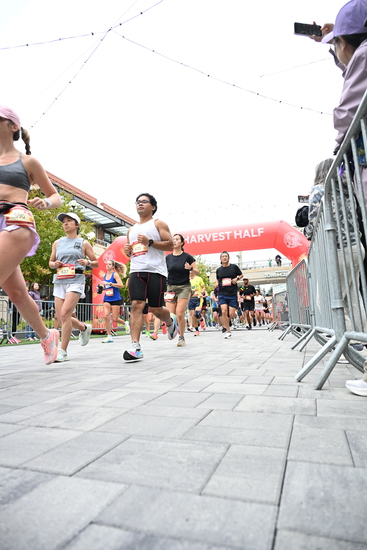 race_147339_335324_e95a79b3-662c-43c6-9e45-8e4f9a53c584.jpg