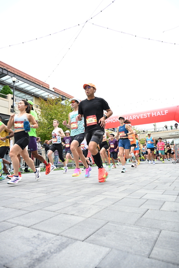 race_147339_335324_e95d157f-cd57-47fb-b820-9814ec8c568b.jpg