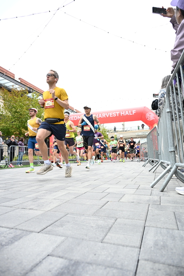 race_147339_335324_e9662d52-e57d-4e43-bddc-058e6971e8e1.jpg