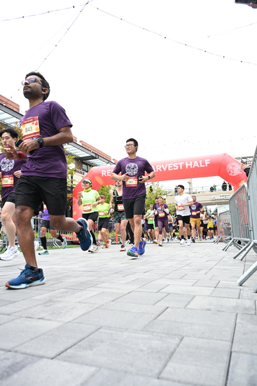 race_147339_335324_e976967c-fcc1-4a56-beac-56067370a7b0.jpg