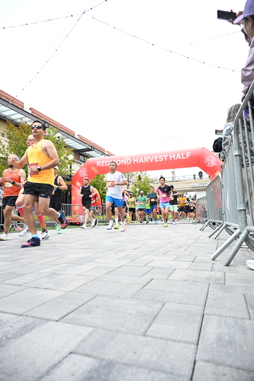 race_147339_335324_e97ae0f8-c971-4839-8433-1e04cb09c062.jpg