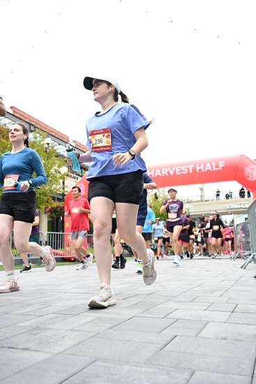 race_147339_335324_e97cd68c-0673-4046-adb7-df9f7e5d50f6.jpg