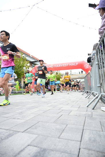race_147339_335324_e9b70327-dcb3-451f-9ab7-7088a62caecd.jpg