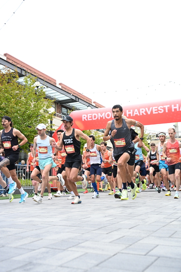 race_147339_335324_e9cdacac-f10a-4614-8007-0448c9d27afc.jpg