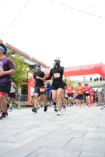 race_147339_335324_e9cea893-0adc-4578-8d7e-3488c633c202.jpg