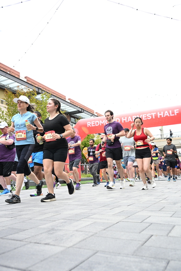 race_147339_335324_e9da82eb-f159-4375-a0dd-73da788b1b48.jpg