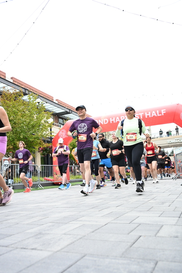 race_147339_335324_e9e5eb65-668a-47cd-a603-1c638cce591b.jpg