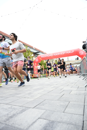 race_147339_335324_e9e88096-2767-4a3a-b87c-9b56cbabbc0c.jpg
