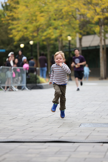 race_147339_335325_52067a7c-542e-4f30-a10e-17d1304eaf9d.jpg