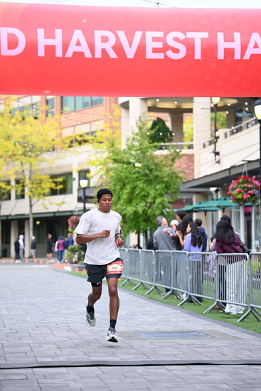 race_147339_335325_940db6e1-8a10-426c-a405-f84d7a223b9e.jpg