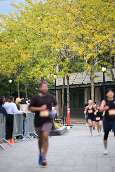 race_147339_335325_94cc7c25-d329-43d4-9c4a-a0fa90b3f4c9.jpg