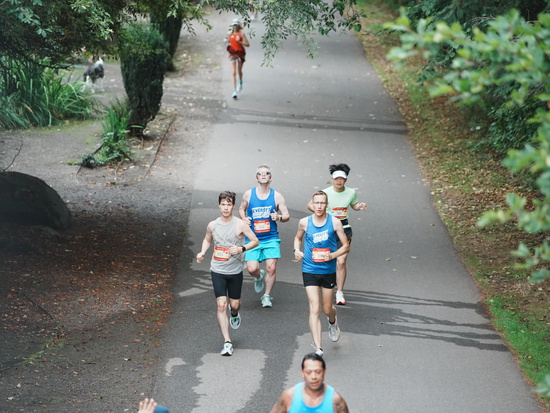 race_147339_335709_2c29a2d1-61bc-4c8a-a37a-b6ef24e1786c.jpg
