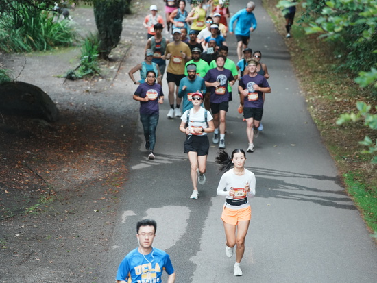 race_147339_335709_2cc4c192-05ca-4cbd-8548-cf455d04aafc.jpg