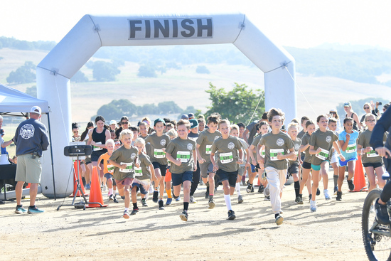 View RRR 2024 in new tab