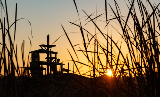 View Along the Course in new tab