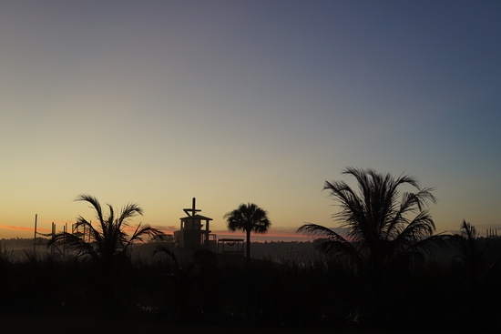 View Start Line in new tab