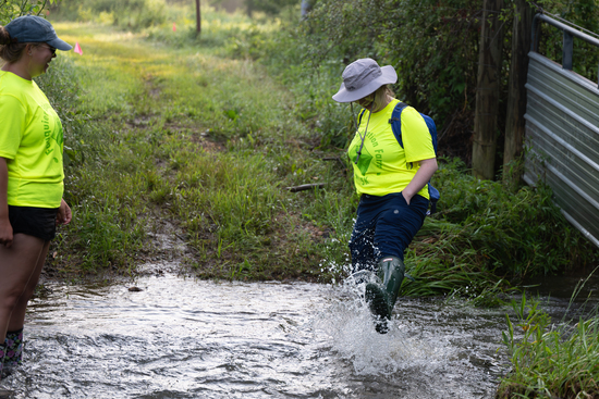 View Volunteers in new tab