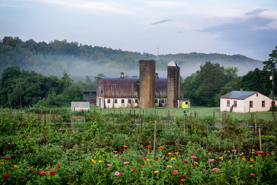 View Misc in new tab