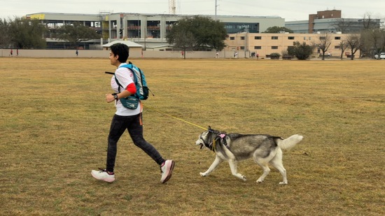 View Cupid's Chase 5K in new tab