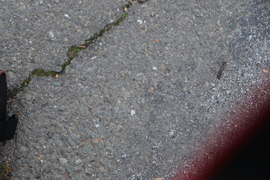 View All photos in new tab