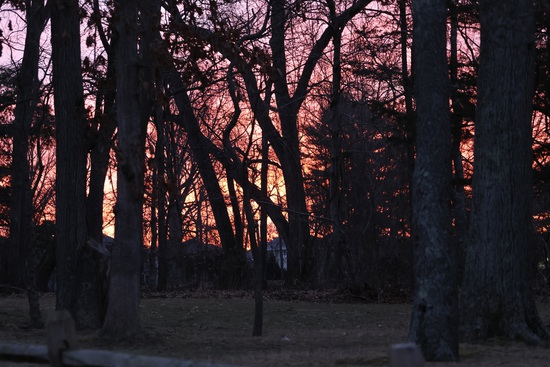 View Savino Photos in new tab