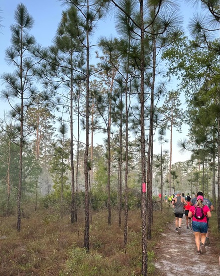 View Trail Pics in new tab