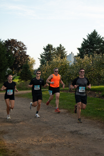 View Donut Dash 2026 in new tab