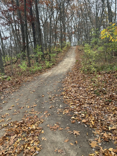 View Trail in new tab