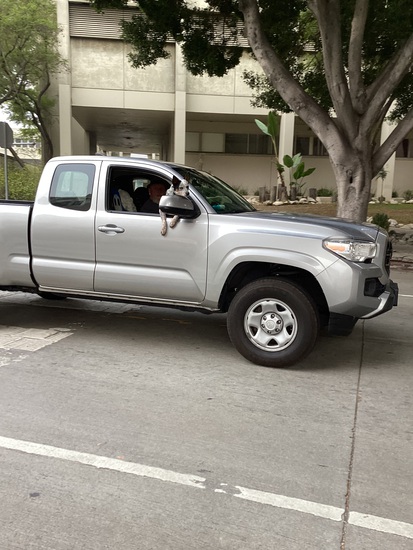 View On the course in new tab