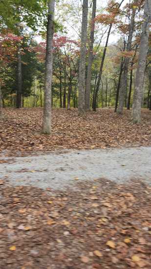 View Lake - Campground in new tab