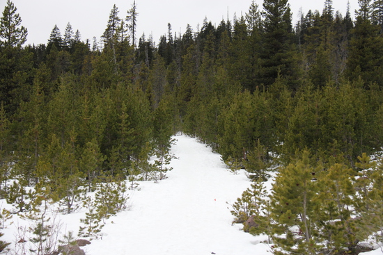 View Start Line in new tab