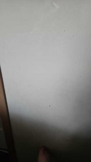 View Carleeh in new tab