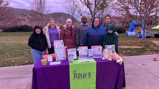 View 2026 in new tab