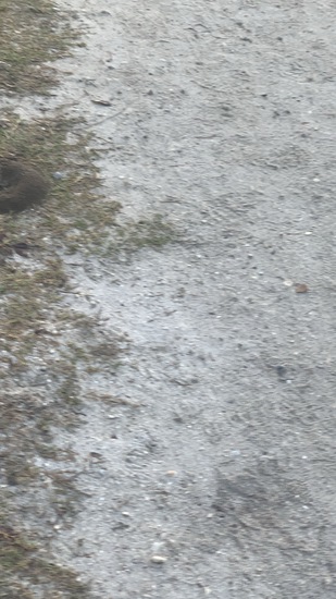 View Jaimie C in new tab