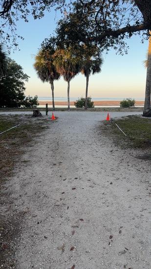 View Sara in new tab