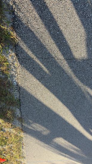 View MaryC in new tab