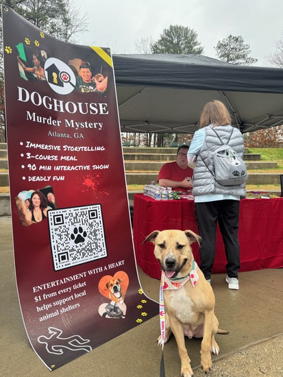 View Brook Run Park FUN 3/8/2026 in new tab