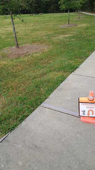 View Brians in new tab