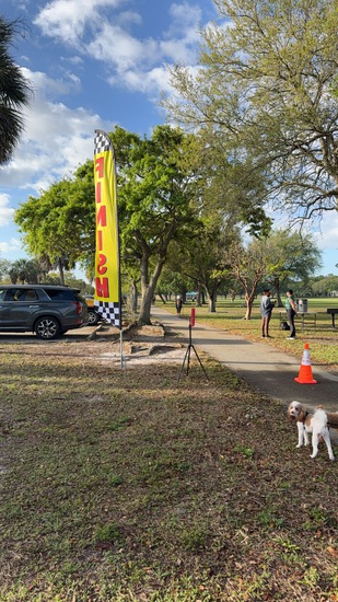 View Shaneil in new tab