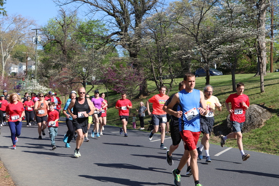 View Stacey's Run 2026 in new tab